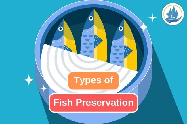 Types of Fish Preservation to Extend Shelf Life